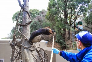 福岡市動物園で節分に行われるイベントは必見ですよ!