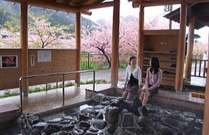 ashiyu6
