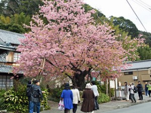 kawadu003-03b