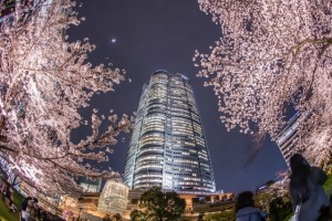 六本木ヒルズ春まつりはヒルズ内レストランが屋台を出店