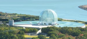 葛西臨海水族園も5月4日は無料で入場できるんです
