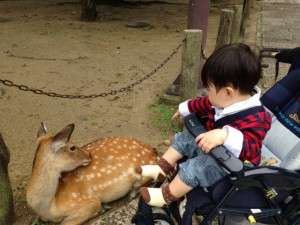 お子様の好みに合わせて選ぶと楽しい想い出になります